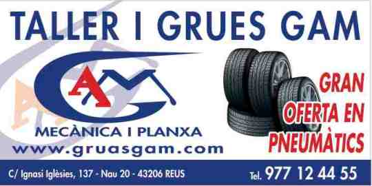 Gruas GAM